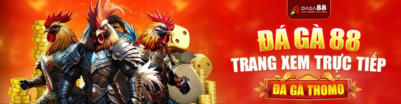 Hình ảnh minh họa chính sách cookie và bảo mật dữ liệu của onebet88 link mới 2026